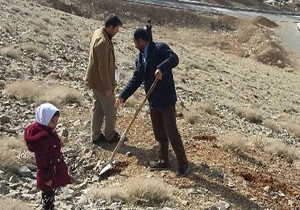 کشت بذر بادام کوهی برای احیای جنگل‌ها