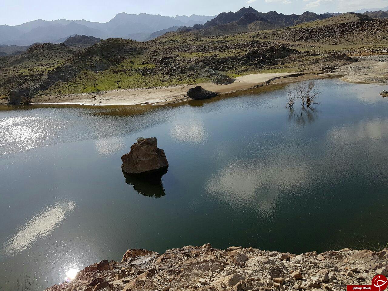 جلوه نمایی بهار زودهنگام در ریگان
