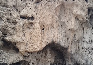 نمایی از مکان تاریخی شبستان + فیلم
