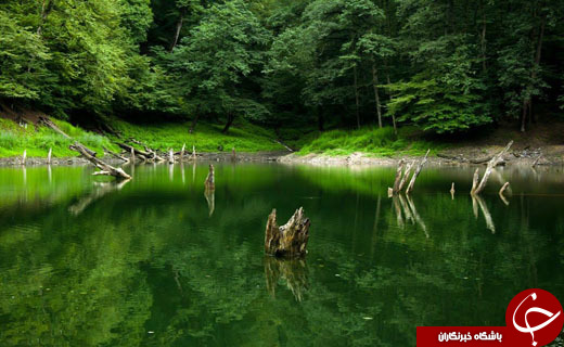 راهنمای سفر به مازندران/اماکن دیدنی مازندران/هتل&zwnj;های مازندران+دانلود فیلم گردشگری