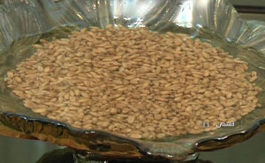 سین ماندگار