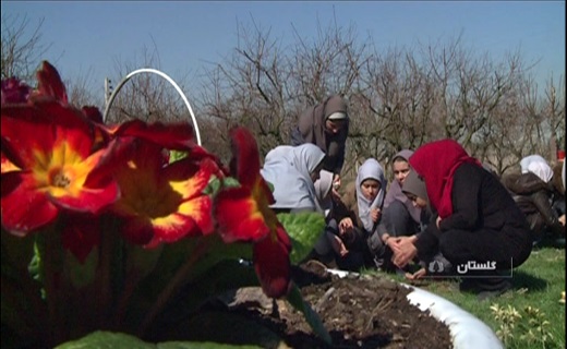 سین ماندگار