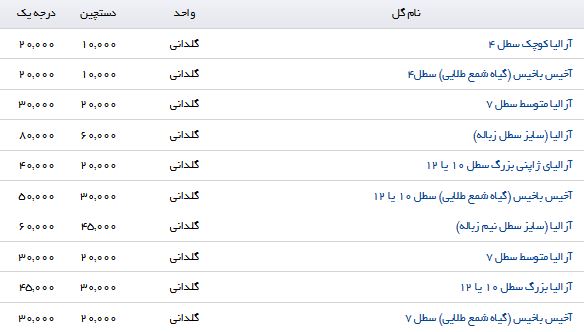 قیمت گیاهان گلدانی در بازار