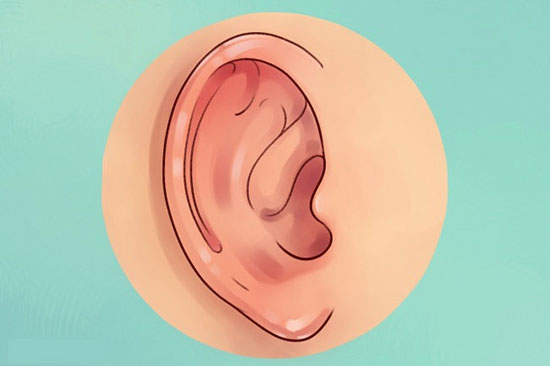 آنچه گوش ها درباره سلامتی می گویند