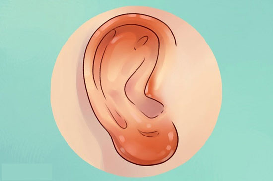 آنچه گوش ها درباره سلامتی می گویند