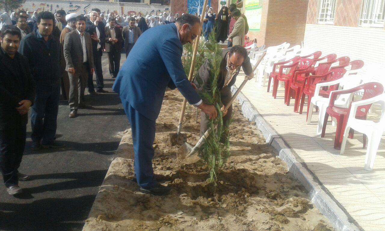 زنگ رویش درخت و درختکاری در انار