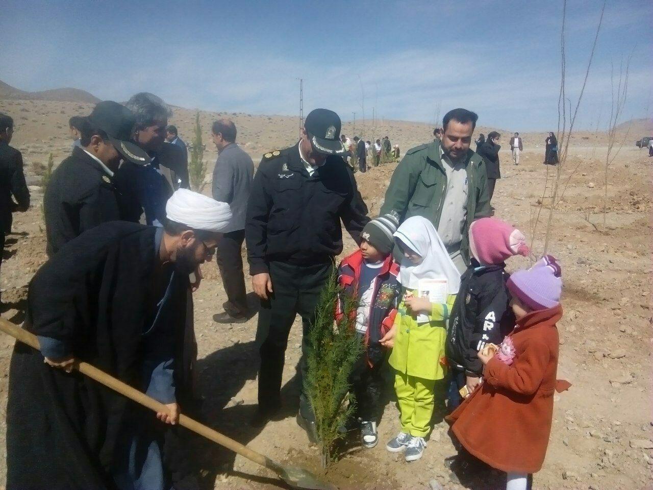 زنگ رویش درخت و درختکاری در انار