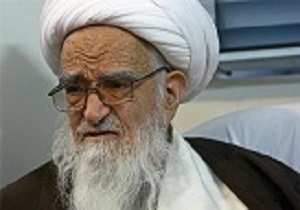 آیت‌الله صافی گلپایگانی درگذشت حجت‌الاسلام طباطبایی را تسلیت گفت
