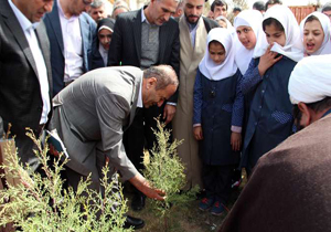 کاشت نهال توسط استاندار چهارمحال و بختیاری