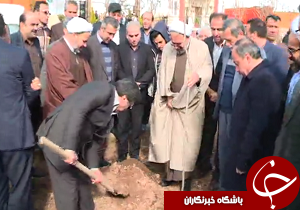 روز درختکاری در استان