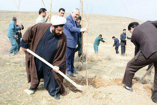 آغازاحداث پارک جنگلی در منطقه گردشگری چالیدره