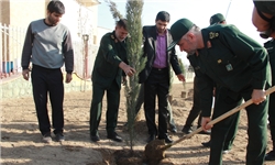 کاشت نهال توسط سردار فضلی در ستاد سازمان بسیج