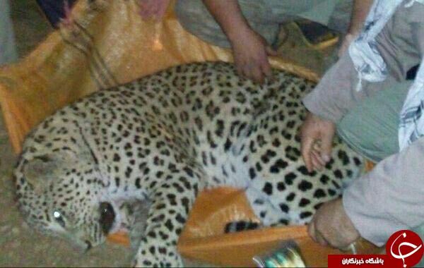 نگاهی گذرا به مهمترین رویدادهای 15 اسفند در مازندران