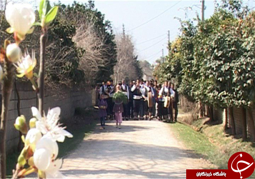 نوید دهندگان بهار در کوچه پس کوچه های مازندران + تصاویر