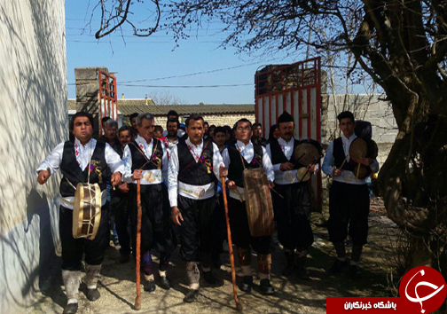 نوید دهندگان بهار در کوچه پس کوچه های مازندران + تصاویر