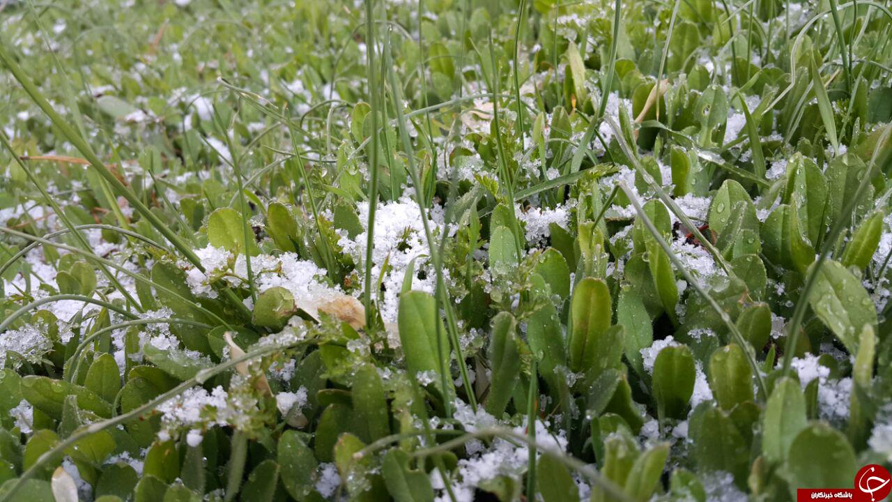 نمایی از طبیعت زیبای سمیرم + فیلم و تصاویر
