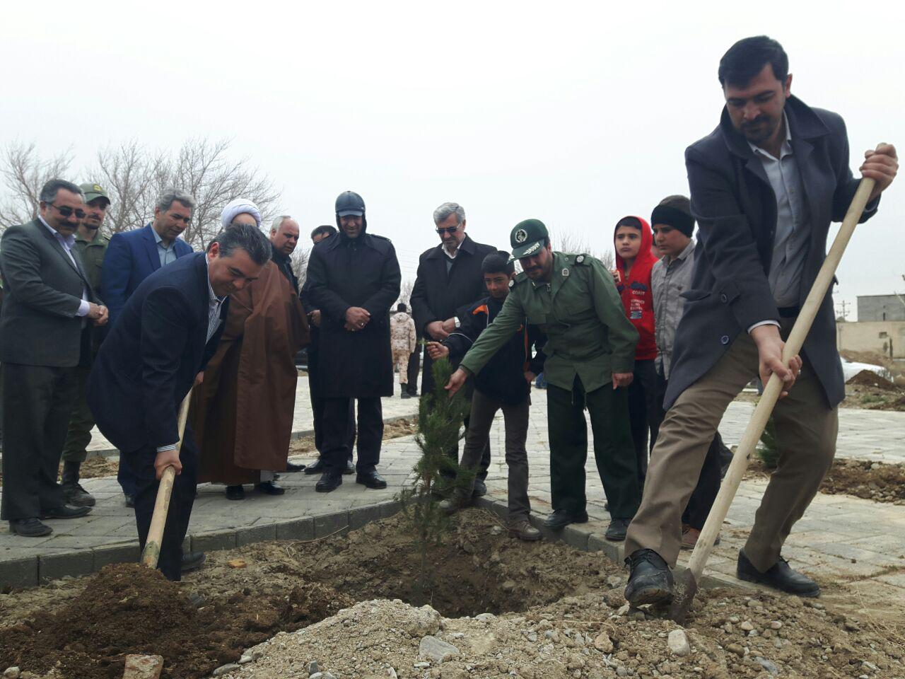 احیا دوباره جنگل با کاشت بیش از ۳ هزار درخت در قوچان