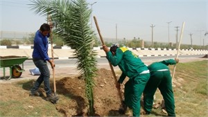 کاشت درخت در راهدارخانه های استان