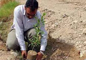 اجرای طرح هرخانوار یک نهال دریاسوج