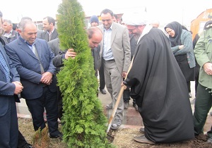 غرس بیش از 600 نهال به یاد شهدای شهرستان مشگین شهر