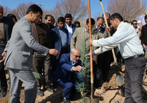 کاشت دو هزار و ۴۰۰ اصله نهال در دانشگاه آزاد شهرکرد