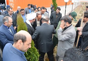 کاشت ۵ هزار نهال در محوطه پل معلق مشگین شهر