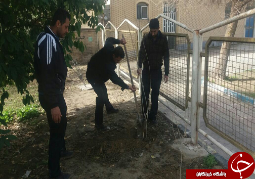 كاشت ٨٠ درخت توسط آتش نشانان كازرونى
