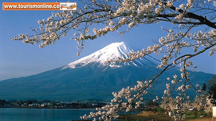تماشای زیباترین شکوفه&zwnj;های بهاری، پیش از رسیدن بهار! +تصاویر