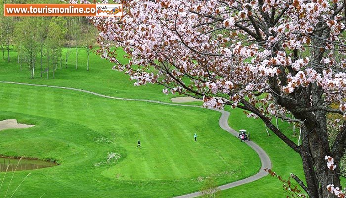 تماشای زیباترین شکوفه&zwnj;های بهاری، پیش از رسیدن بهار! +تصاویر