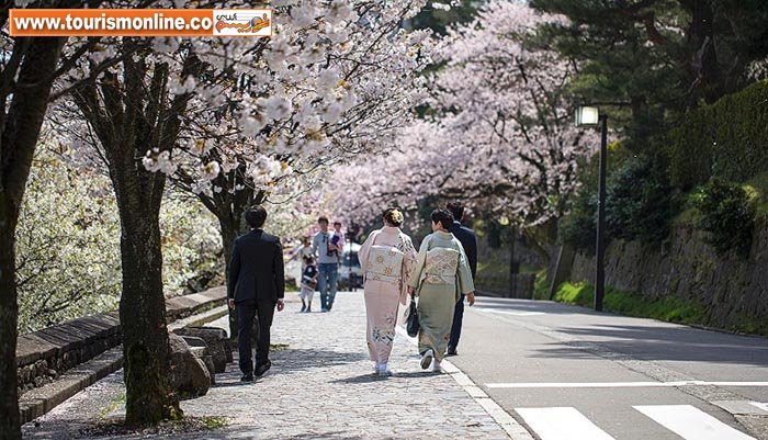 تماشای زیباترین شکوفه&zwnj;های بهاری، پیش از رسیدن بهار! +تصاویر