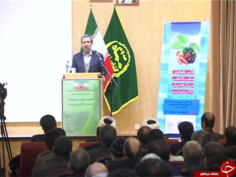 ساماندهی صیفی و سبزی کاران تبریزی