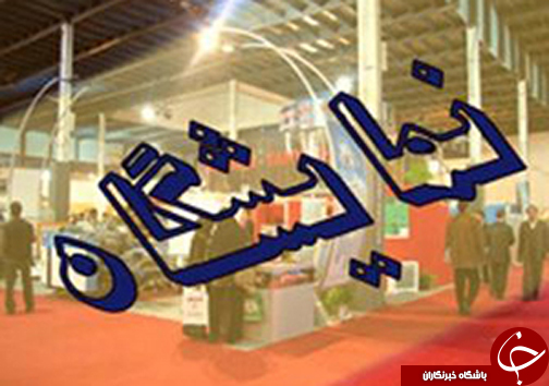 از مشاهده شیء نورانی تا سفر رئیس سازمان حفاظت محیط زیست کشور به فارس