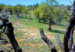 آبدانان پذیرای مهمانان نوروزی