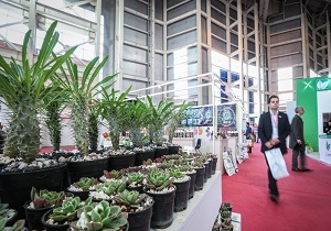 راه اندازی بزرگترین کلکسیون گیاهان دارویی شمال غرب کشور در اردبیل