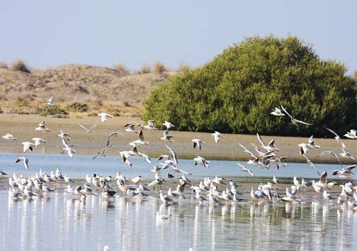 بندرخمیر مقصد گردشگران نوروزی