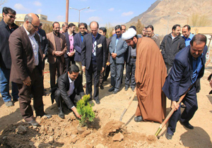 کاشت دو هزار اصله نهال در فرخشهر