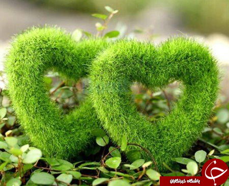 جالب&zwnj;ترین طرح&zwnj;ها برای کاشتن سبزه&zwnj;های نوروز 