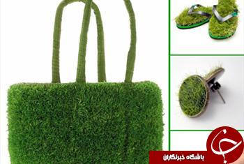 جالب&zwnj;ترین طرح&zwnj;ها برای کاشتن سبزه&zwnj;های نوروز 