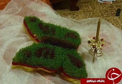 جالب&zwnj;ترین طرح&zwnj;ها برای کاشتن سبزه&zwnj;های نوروز 