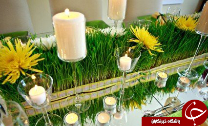 جالب&zwnj;ترین طرح&zwnj;ها برای کاشتن سبزه&zwnj; نوروز 