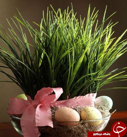 جالب&zwnj;ترین طرح&zwnj;ها برای کاشتن سبزه&zwnj; نوروز 
