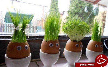 جالب&zwnj;ترین طرح&zwnj;ها برای کاشتن سبزه&zwnj; نوروز 