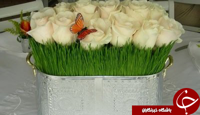 جالب&zwnj;ترین طرح&zwnj;ها برای کاشتن سبزه&zwnj; نوروز 