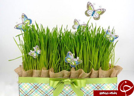 جالب&zwnj;ترین طرح&zwnj;ها برای کاشتن سبزه&zwnj; نوروز 