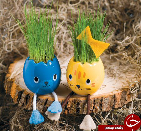 جالب&zwnj;ترین طرح&zwnj;ها برای کاشتن سبزه&zwnj; نوروز