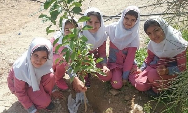 توزیع ۱۰۰۰ اصله نهال در بین مردم شهر بوشهر