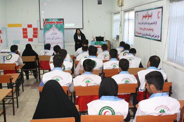 برگزاری کارگاه آموزشی بهبود رفتارهای ترافیکی در بوشهر