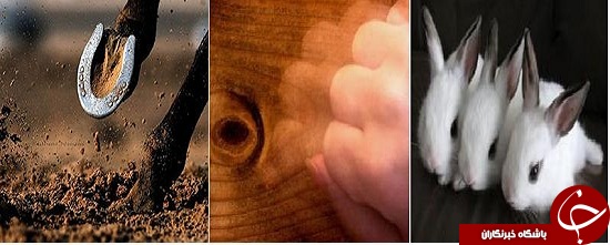 ماجرای بیرون آمدن شیطان از پوست تخم مرغ!