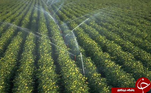 نگاهی گذرا به مهمترین رویدادهای 17 اسفند در مازندران