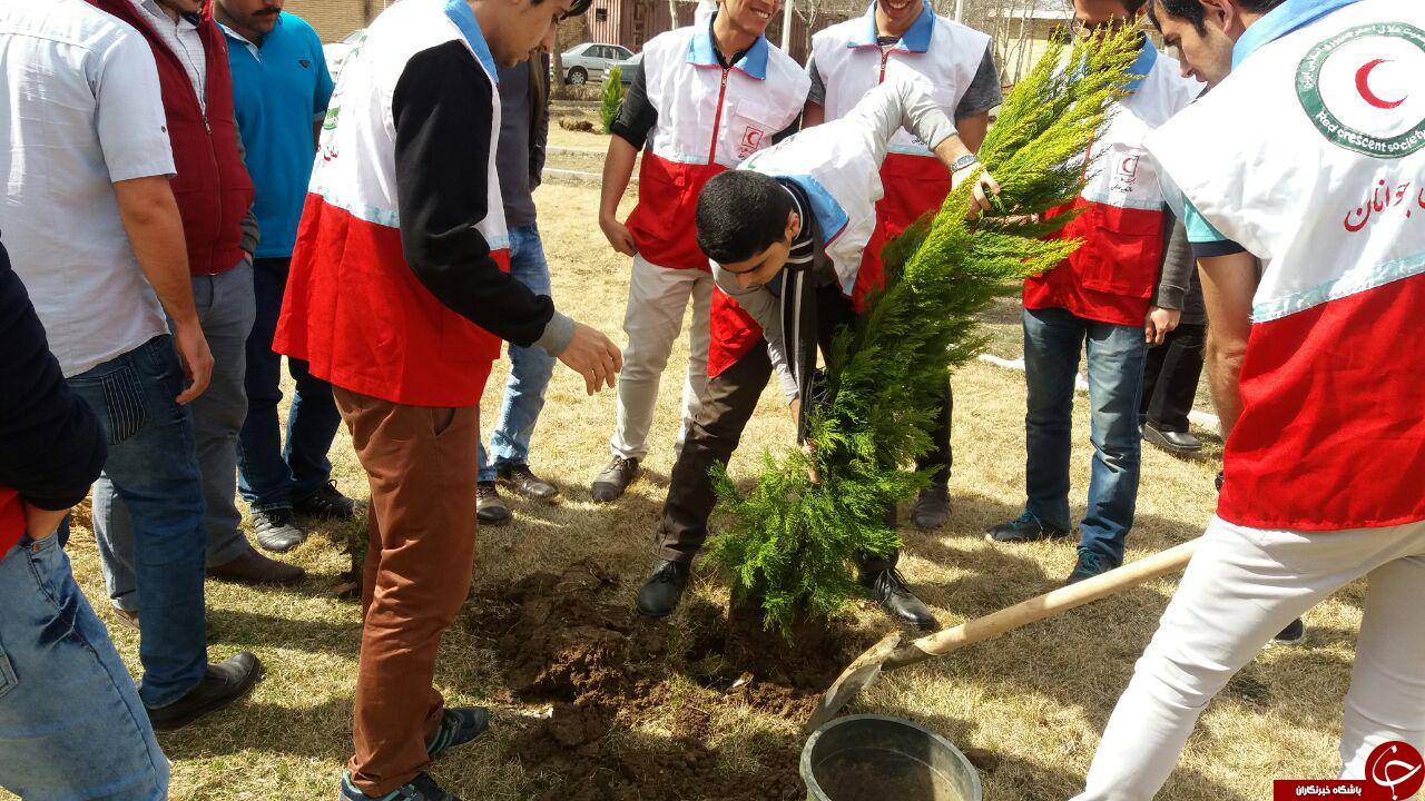 درخت کاری در محوطه دانشگاه + تصاویر